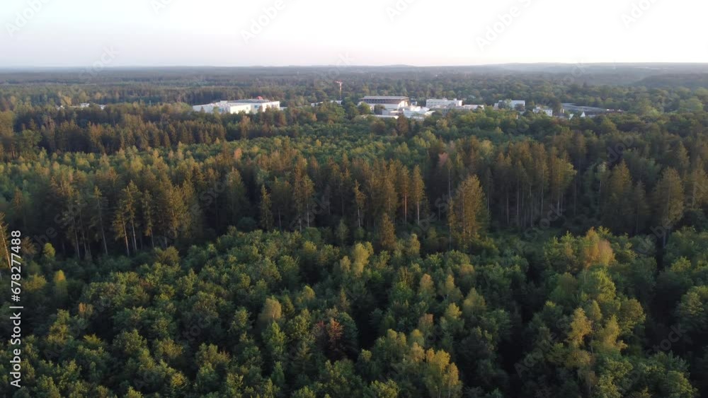 German forest aerial drone view of pine trees in summer. Forest used for logging industry. Ecosystem in Alpine forest near Munich German forest aerial drone view of pine trees in summer. Forest used for logging industry. Ecosystem in Alpine forest near Munich