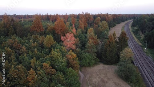 German forest aerial drone view of pine trees in summer. Forest used for logging industry. Ecosystem in Alpine forest near Munich photo