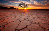 cracked earth in the desert