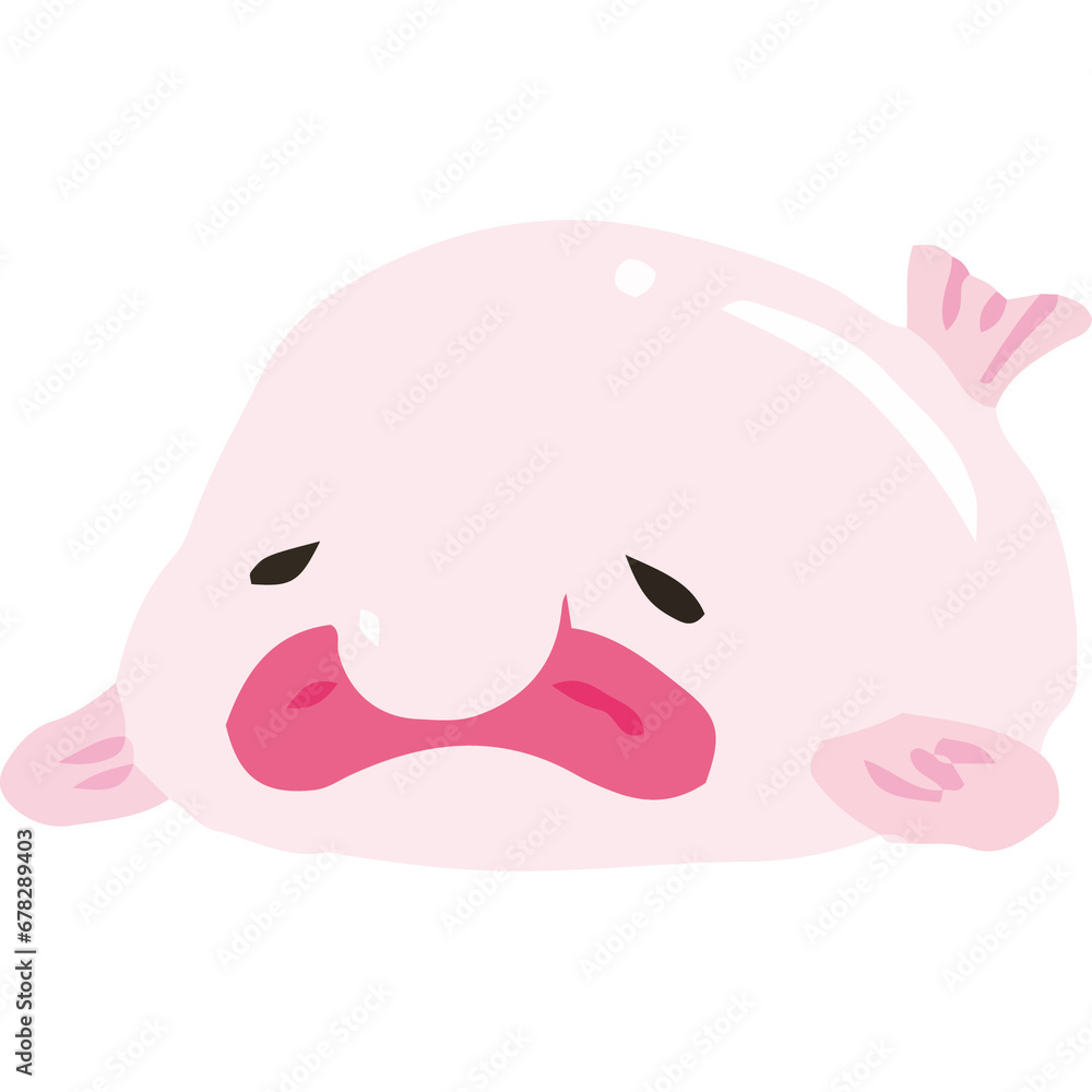 Psychrolutes marcidus Blobfish CUTE cartoon hand drawn Psychrolutes marcidus Blobfish CUTE cartoon hand drawn