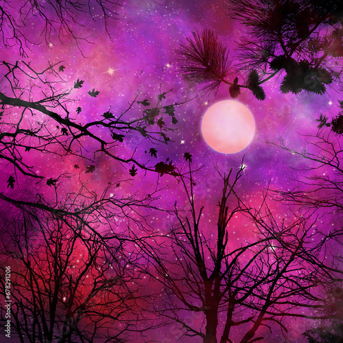 Lunar Forest Backdrop - Moon Woods Background Image