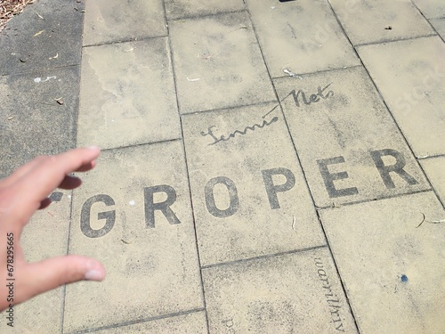 Groper