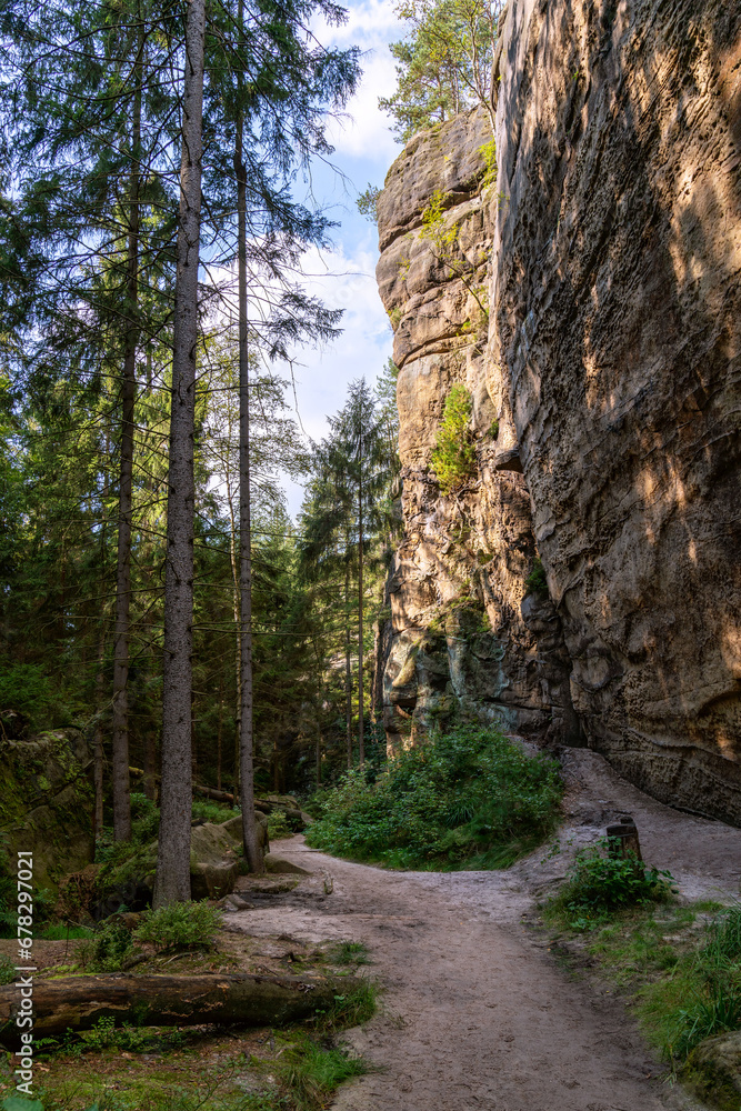 Cover with a magical fairytale forest on a hiking trail in the Saxon Switzerland National Park near Dresden, Saxony, Germany Cover with a magical fairytale forest on a hiking trail in the Saxon Switzerland National Park near Dresden, Saxony, Germany