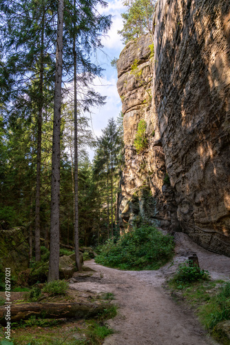 Cover with a magical fairytale forest on a hiking trail in the Saxon Switzerland National Park near Dresden  Saxony  Germany