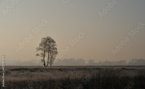 Wintermorgen im Moor