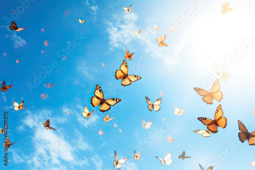 In the tranquil expanse of nature, butterflies grace the sky, embodying the beauty and freedom of a colorful summer day.