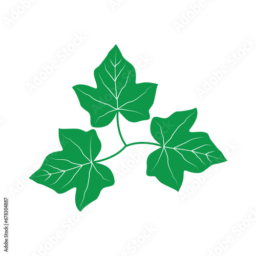 maple leaf logo template, maple leaf logo elements, maple leaf vector