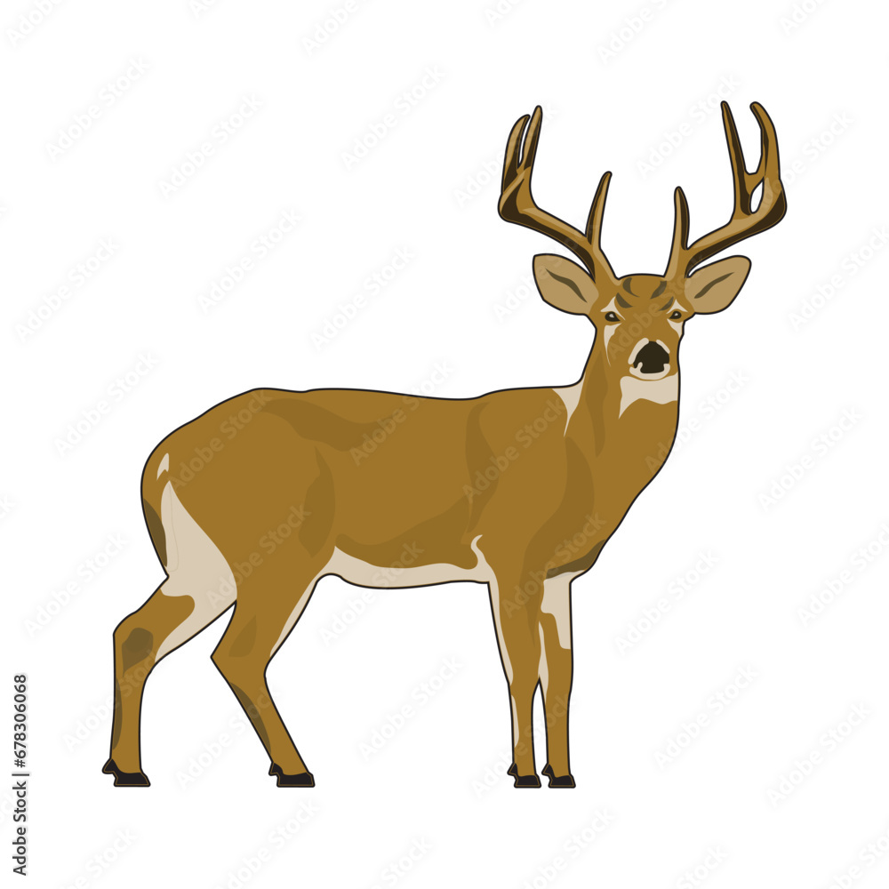 Wild Deer Vector Illustration EPS Wild Deer Vector Illustration EPS