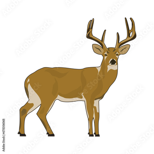 Wild Deer Vector Illustration EPS