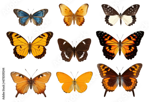 Collection of beautiful butterflies on transparent background © Renata Hamuda