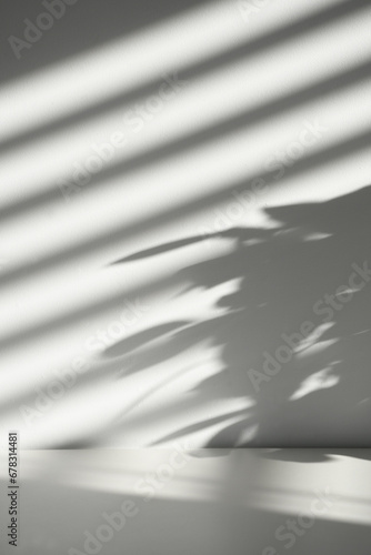 white background, shadows, plant shadows