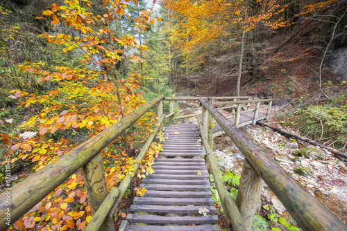 Fototapeta Naklejka Na Ścianę i Meble -  A wooden footbridge over a stream in autumn forest. The Mala Fatra national park in Slovakia, Europe.