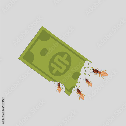 vector illustration of termites eating money