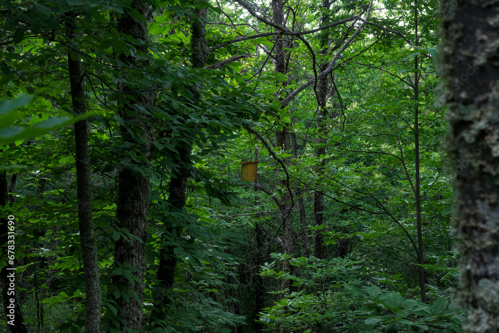 Wooden box bird house in green forest camouflaged as housing