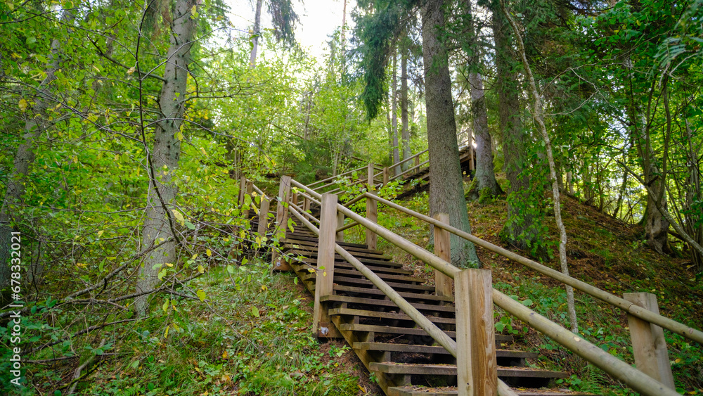 Long wooden stairs in the forest on an autumn day. Tourist hiking route