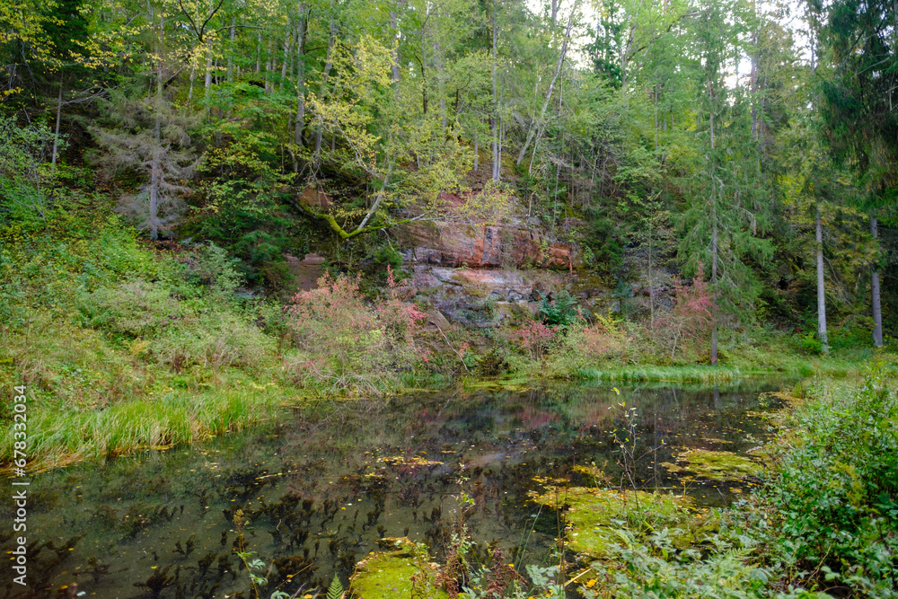 Obraz premium Ancient red sandstone cliffs in Latvia. Old river tributary with green aquatic plants
