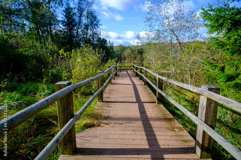 A wooden bridge, a path with a railing as a place for tourists to walk to an environmental object that is difficult to access. Autumn in Latvia