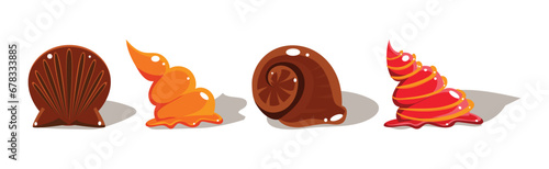 Colorful Shells and Conch Sea Element Vector Set