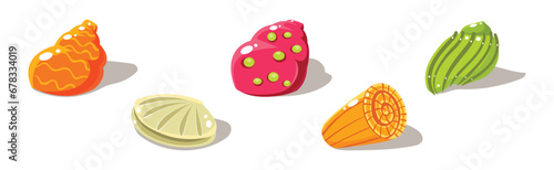 Colorful Shells and Conch Sea Element Vector Set