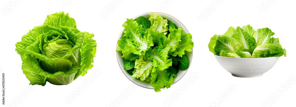 Top view of fresh lettuce in whole, cut in a bowl over isolated transparent background - obrazy, fototapety, plakaty 