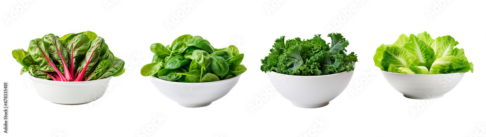 Set of four bowls full of chard, spinach, kale and lettuce on isolated transparent background - obrazy, fototapety, plakaty 