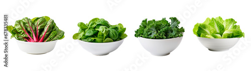 Set of four bowls full of chard, spinach, kale and lettuce on isolated transparent background