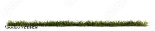 Green grass isolated on transparent background. 3D render. 