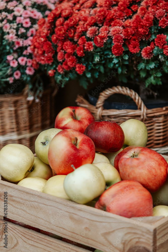 Fresh ripe organic delicious apples filled in wooden box Fresh ripe organic delicious apples filled in wooden box