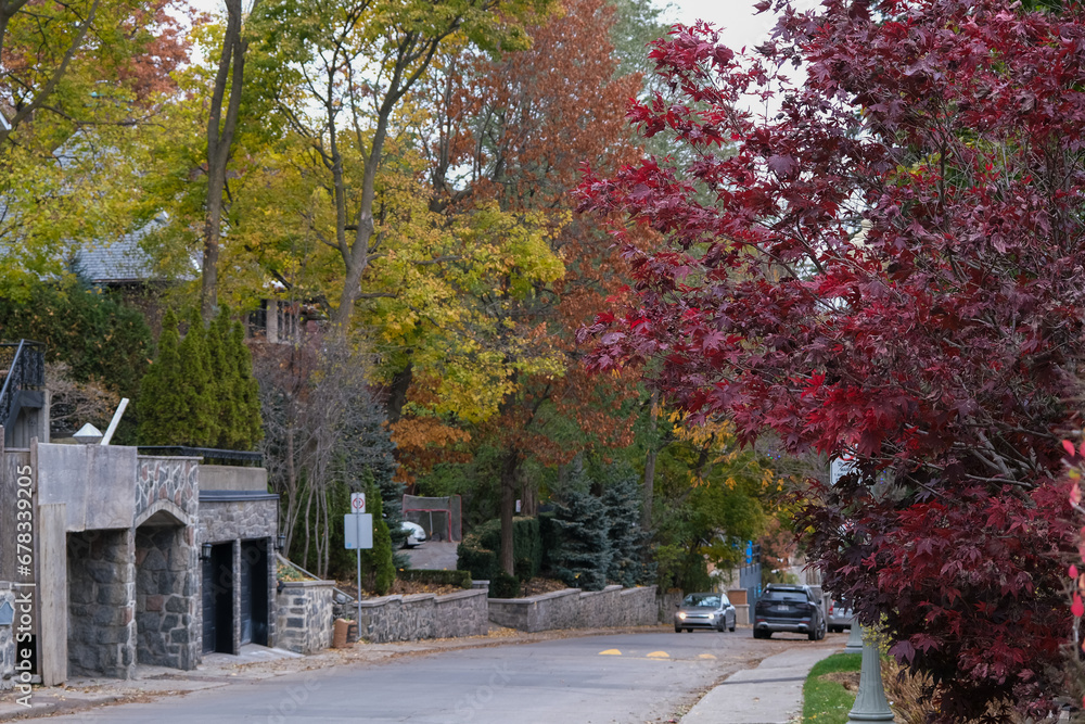 Fall colors Autumn romantic picturesque landscape scenery in Montreal, Quebec Canada Indian Summer natural beauty glowing changing leaves residential houses hoods