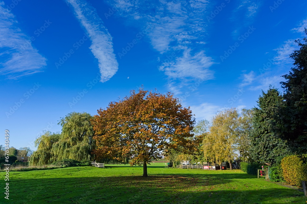 park in autumn. Wainfleet all saints. UK park in autumn. Wainfleet all saints. UK