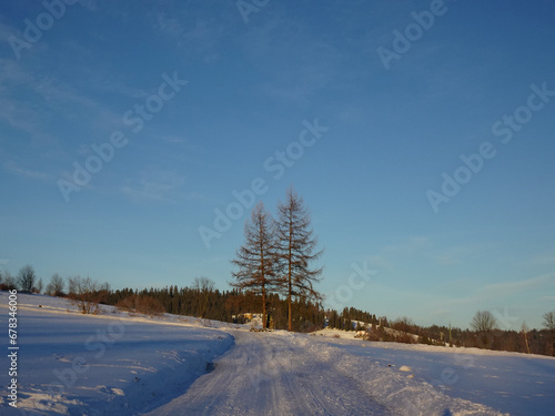 A roadside shrine placed on a mountain road between two spruce trees at sunrise near Glodowski Wierch on a frosty winter morning, Bukowina Tatrzanska, Poland.
