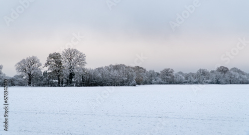 Field in English Countryside in Winter