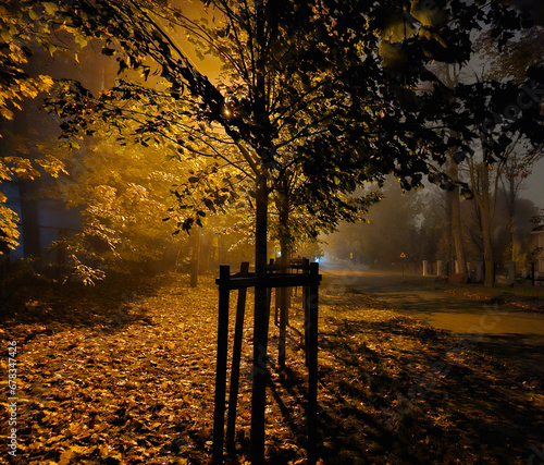 Street near Julianowski Park in Lodz lit with street lamps on a cloudy foggy autumn night, Lodz, Poland.