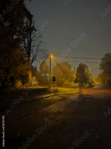 Street near Julianowski Park in Lodz lit with street lamps on a cloudy foggy autumn night, Lodz, Poland.