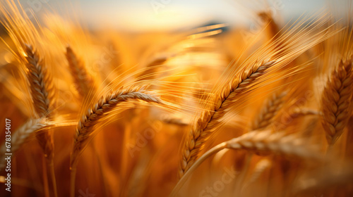 Close-up of a field of wheat. Generative Ai