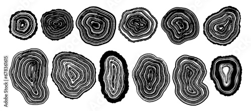 Set of wooden annual rings textures. Black and white tree ring patterns.Stamp of tree trunk in section isolated on white background. Natural wooden concentric circles