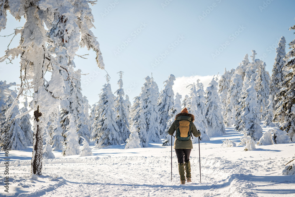 Woman with backpack and walking poles is hiking in winter mountain trail. Walk in snow in nature