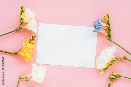 Mockup with blank card and white, yellow and blue freesia flowers on pink backdrop. Spring holidays concept. Top view, flat lay, copy space © Viktoriya