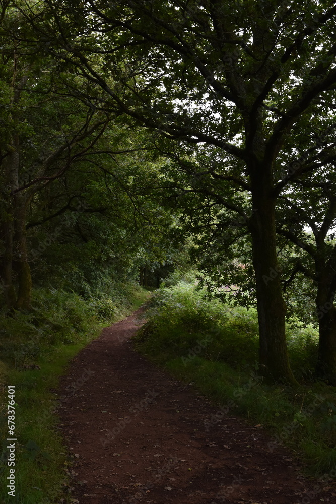 a walk through the clent hills