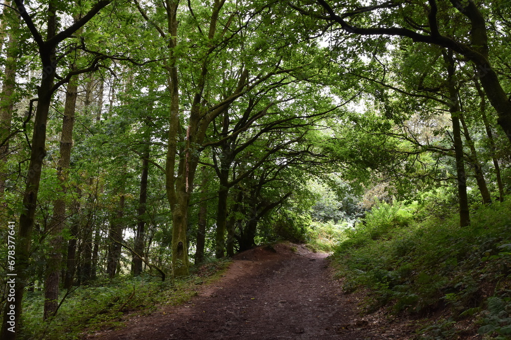 a walk through the clent hills a walk through the clent hills