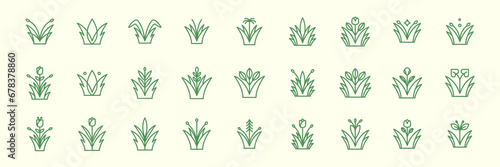 kind of plant flowers gardening botanical agriculture line style minimal icon set collection sign symbol logo design vector illustration