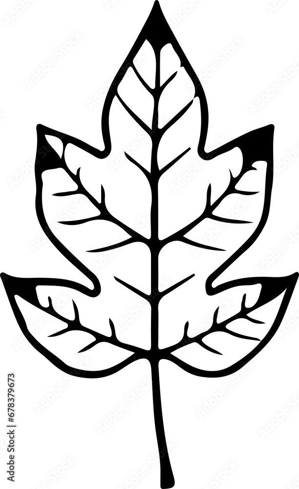 Sketch autumn leaves Sketch autumn leaves
