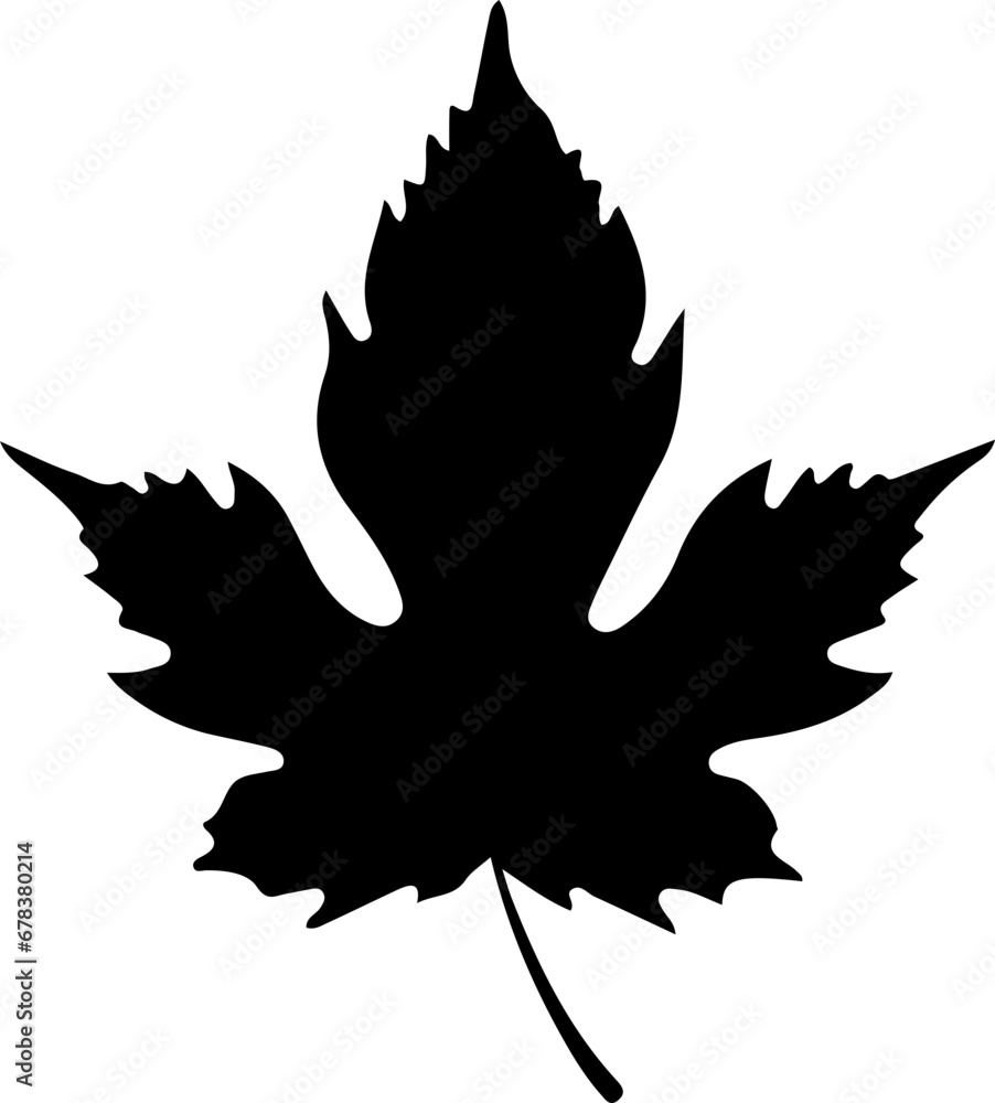 Sketch autumn leaves Sketch autumn leaves