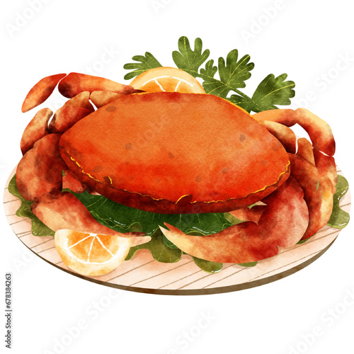 PNG hand draw of steamed crabs on plate