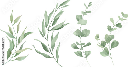Watercolor floral set with green eucalyptus leaves. Hand drawn floral illustration isolated on white background. Vector EPS.