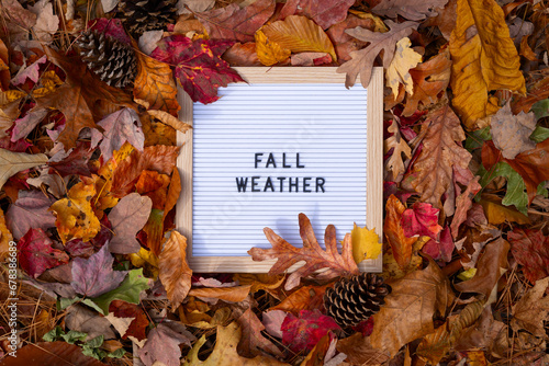 Fall Weather Letter Message Board Promotional Message In Frame Pile of Colorful Autumn Leaves