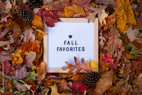 Fall Favorites Letter Message Board Promotional Message In Frame Pile of Colorful Autumn Leaves with Heart