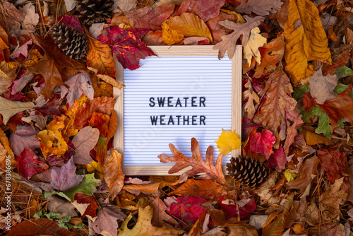 Sweater Weather Letter Message Board Promotional Message In Frame Pile of Colorful Fall Autumn Leaves