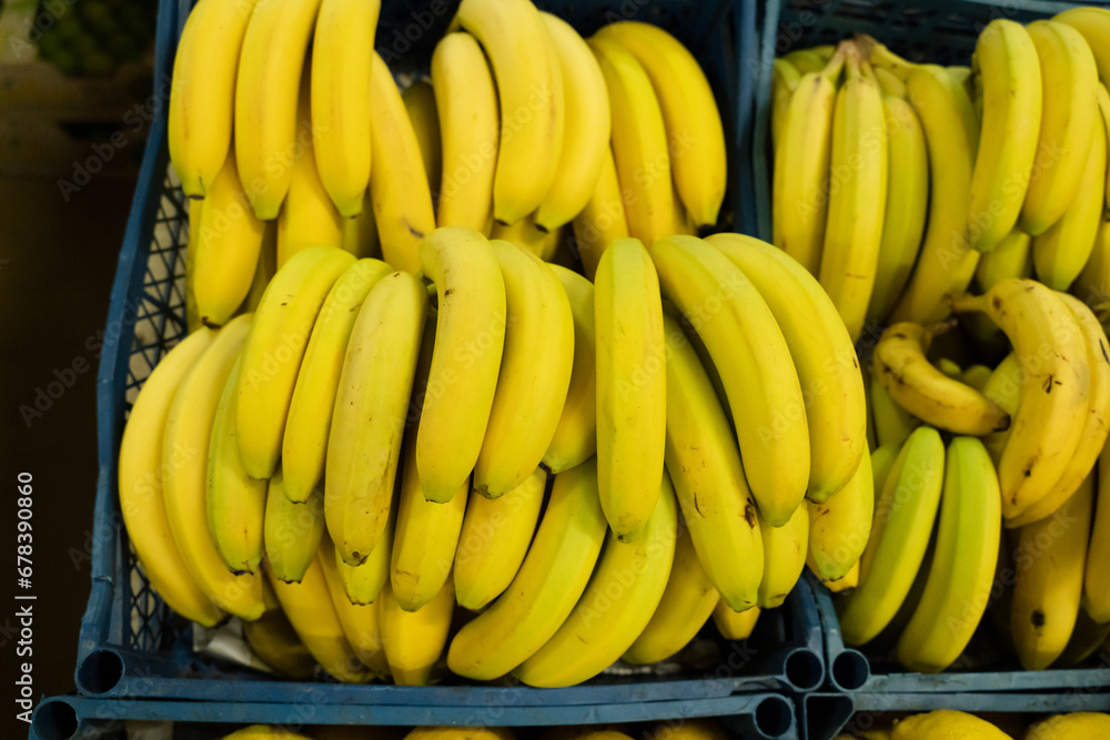 Fresh bananas in plastic boxes on big market