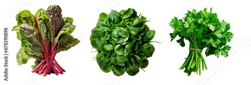 Top view of bunch of chard, spinach and parsley on white transparent background